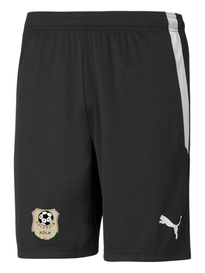 PUMA teamLIGA Shorts