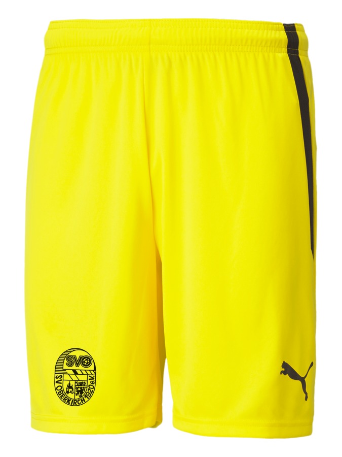 PUMA teamLIGA Shorts