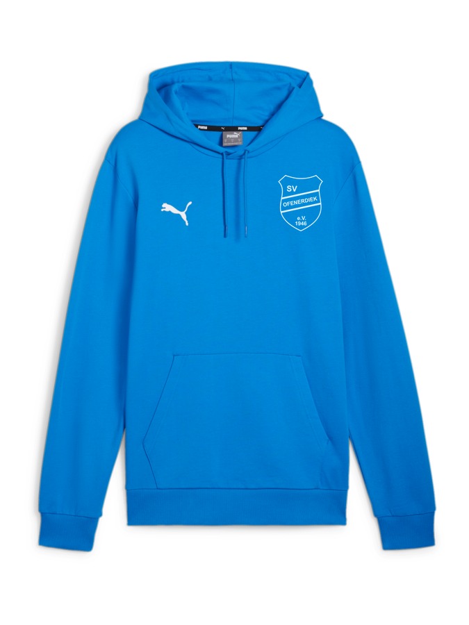 PUMA teamGOAL Casuals Hoody