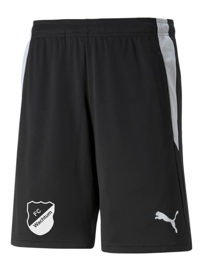 PUMA teamLIGA Referee Shorts