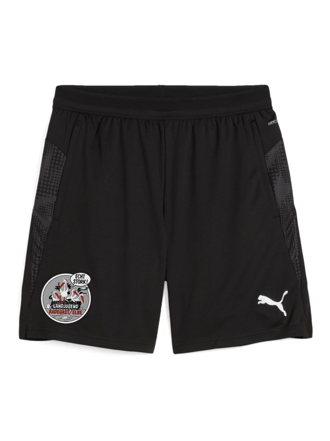 PUMA teamCUP Training Shorts