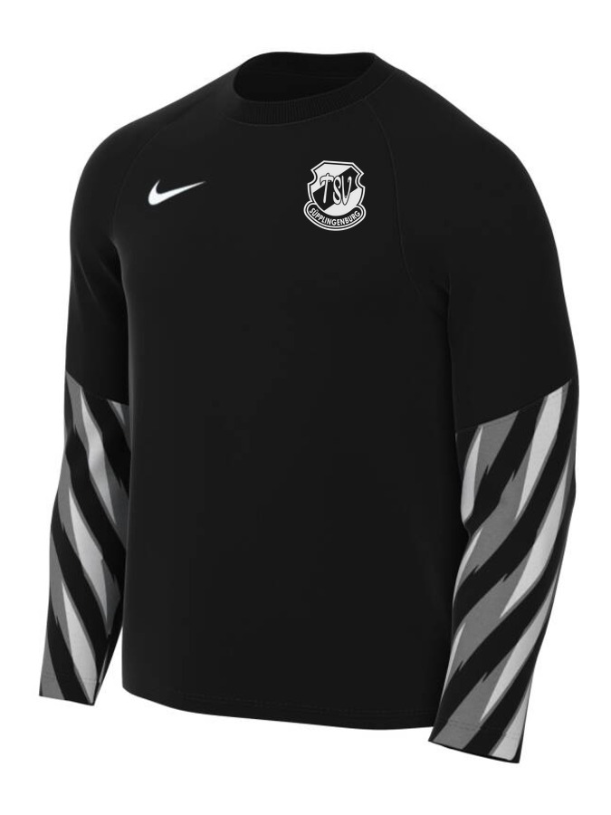 Nike Dri-FIT Park V Torwart Trikot Langarm