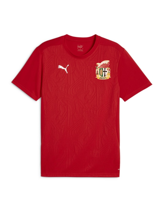 PUMA teamFINAL Trainingsshirt