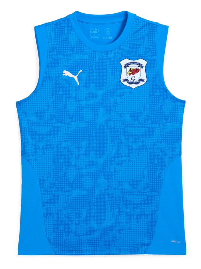 PUMA teamCUP Training Sleeveless Trikot