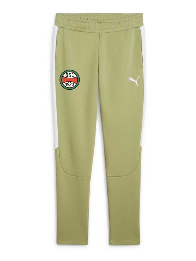 PUMA teamEVOSTRIPE Hose