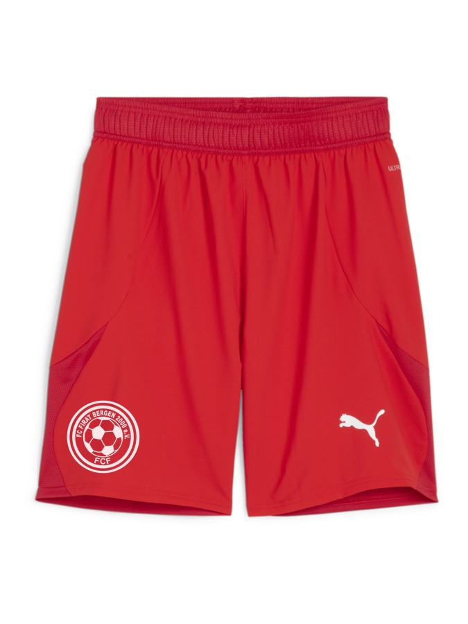 PUMA teamFINAL Shorts