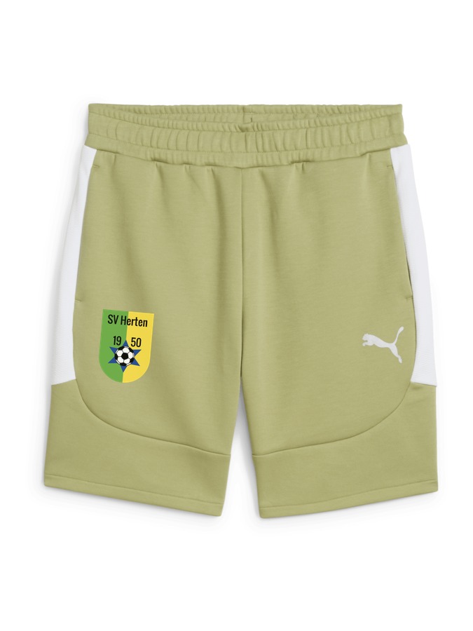 PUMA teamEVOSTRIPE Shorts