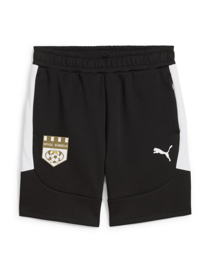 PUMA teamEVOSTRIPE Shorts