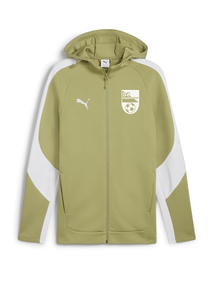 PUMA teamEVOSTRIPE Kapuzenjacke