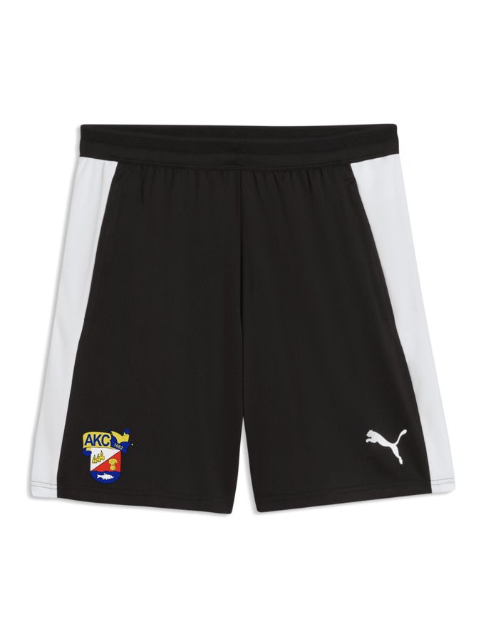 PUMA teamFINAL26 Training Shorts