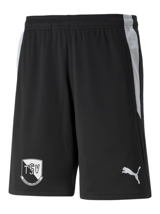 PUMA teamLIGA Referee Shorts