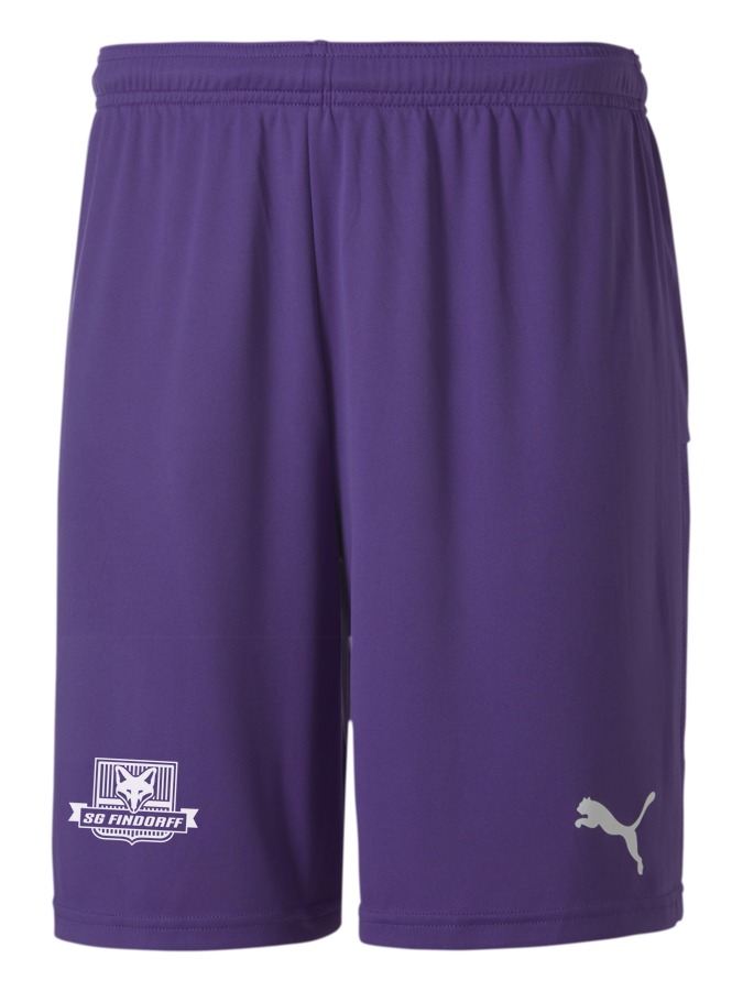PUMA teamGOAL 23 Knit Shorts