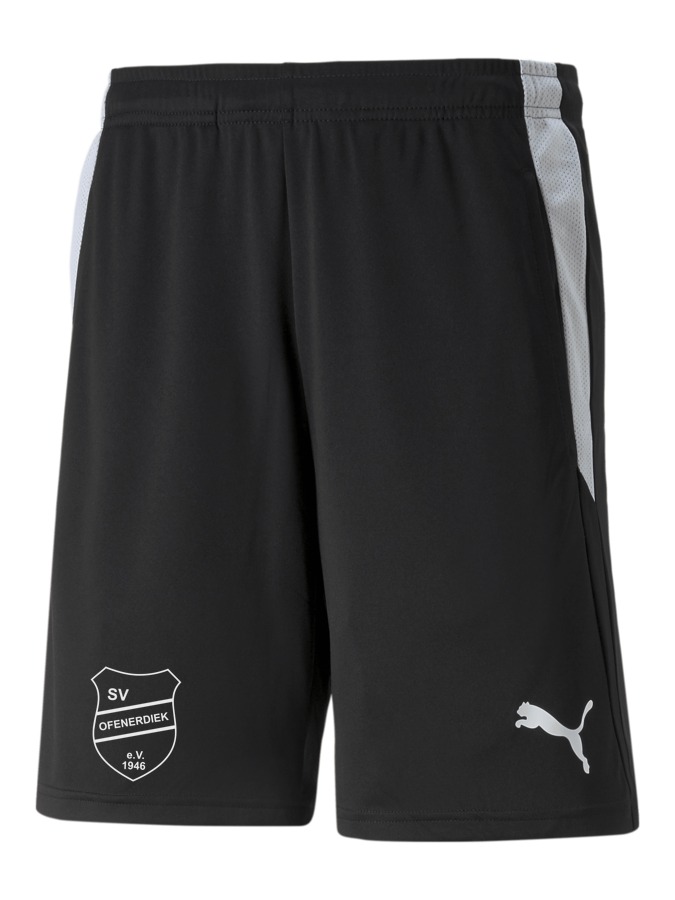 PUMA teamLIGA Referee Shorts