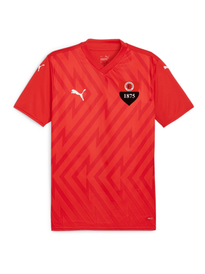 PUMA teamGLORY Trikot