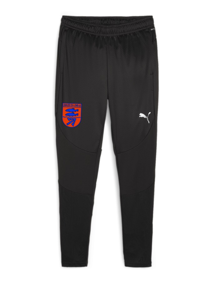 PUMA teamFINAL Trainingshose