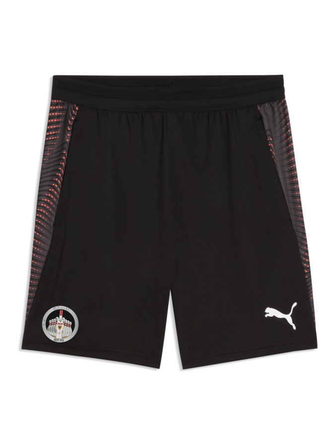 PUMA individualFINAL Shorts