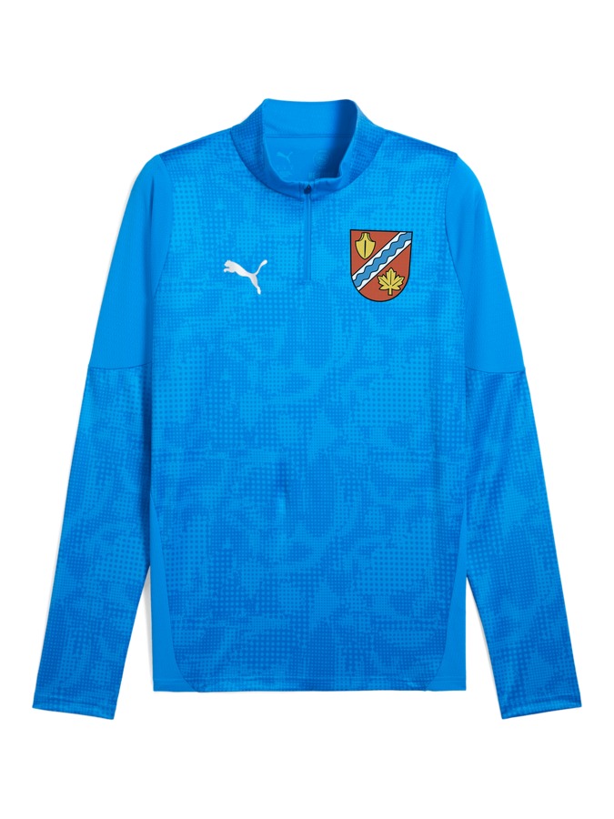 PUMA teamCUP Training 1/4-Zip-Top