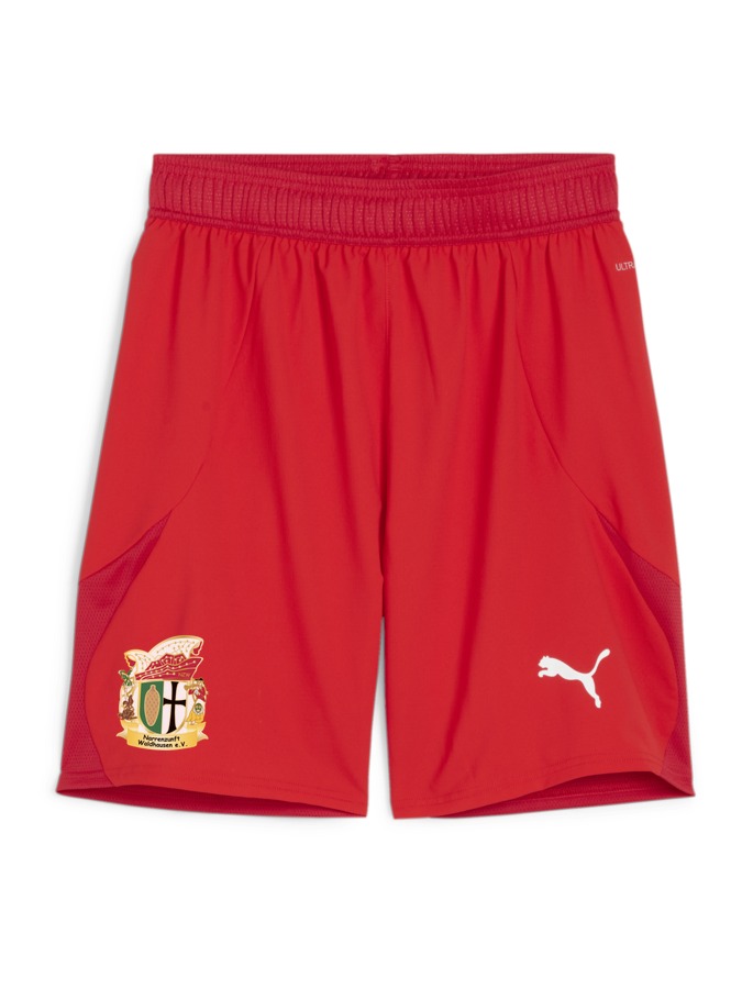 PUMA teamFINAL Shorts