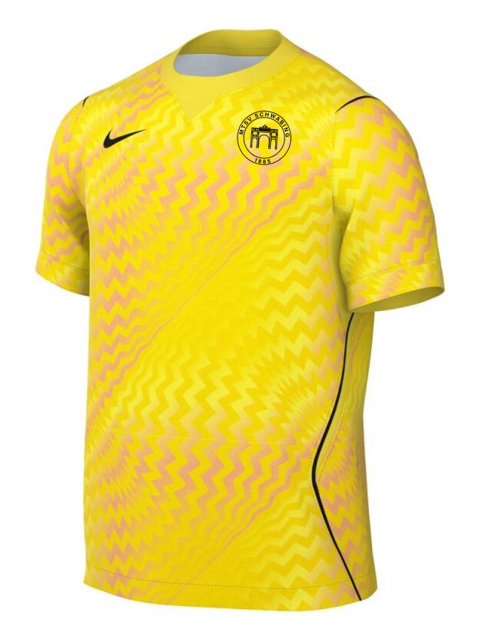 Nike Gardien VI Torwart Trikot