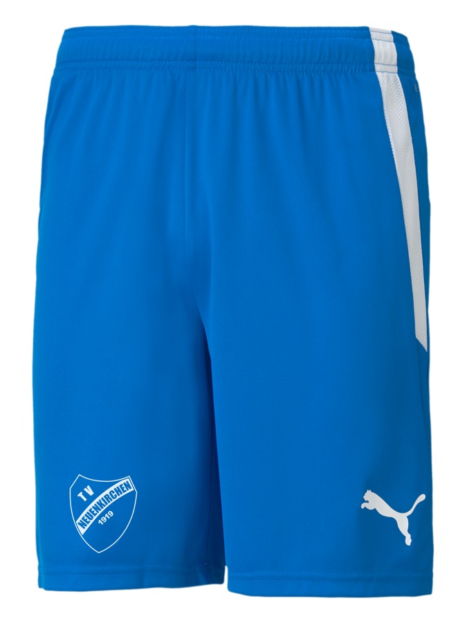 PUMA teamLIGA Shorts