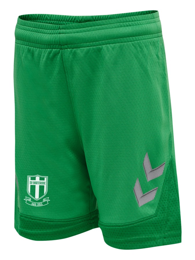 Hummel Lead Trainingsshorts