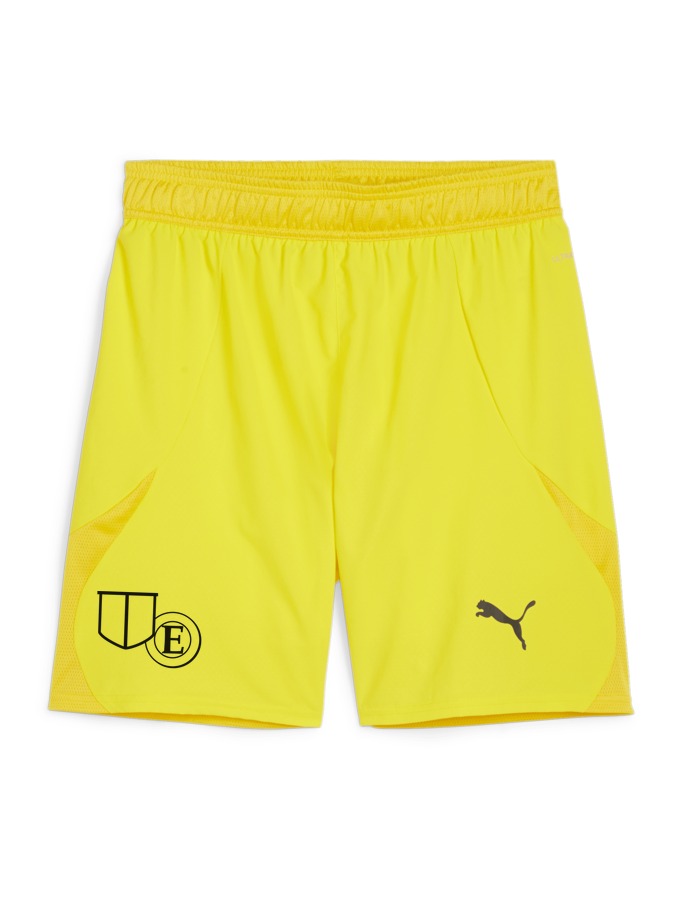 PUMA teamFINAL Shorts