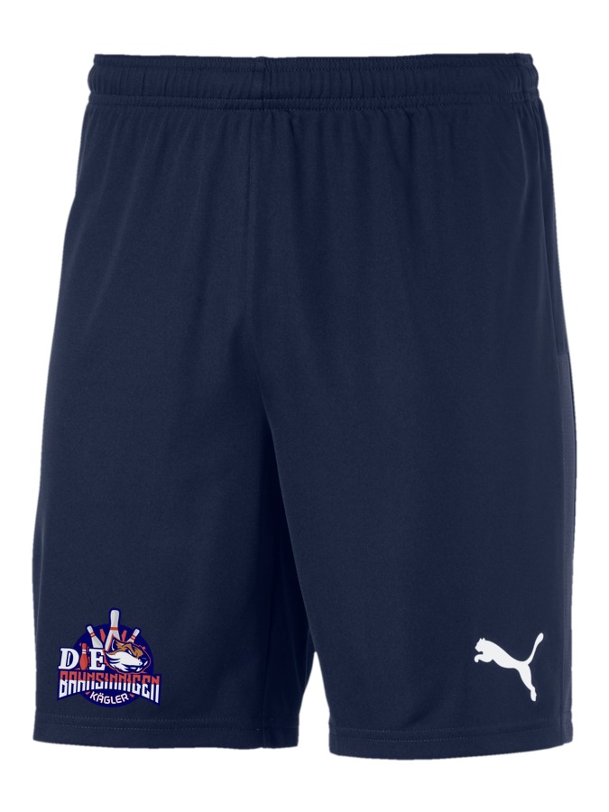 PUMA teamGOAL 23 Knit Shorts