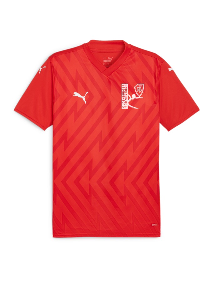 PUMA teamGLORY Trikot