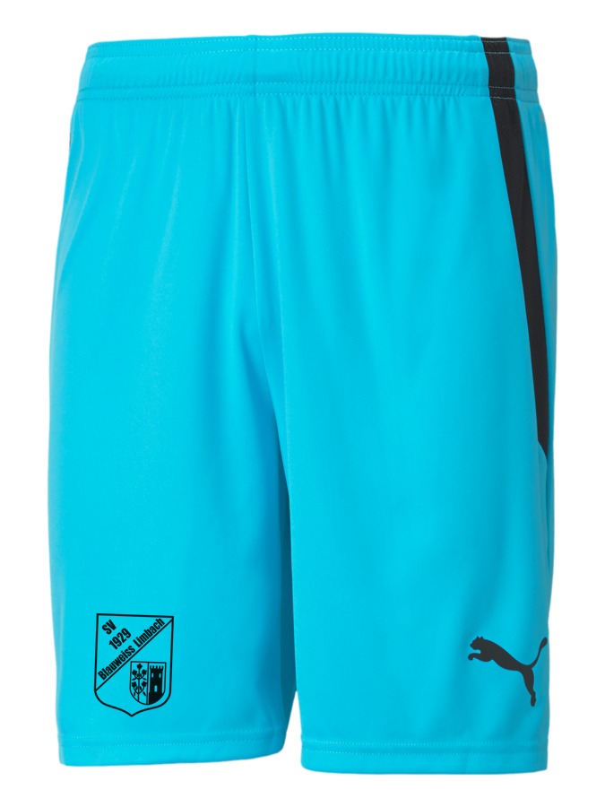 PUMA teamLIGA Shorts