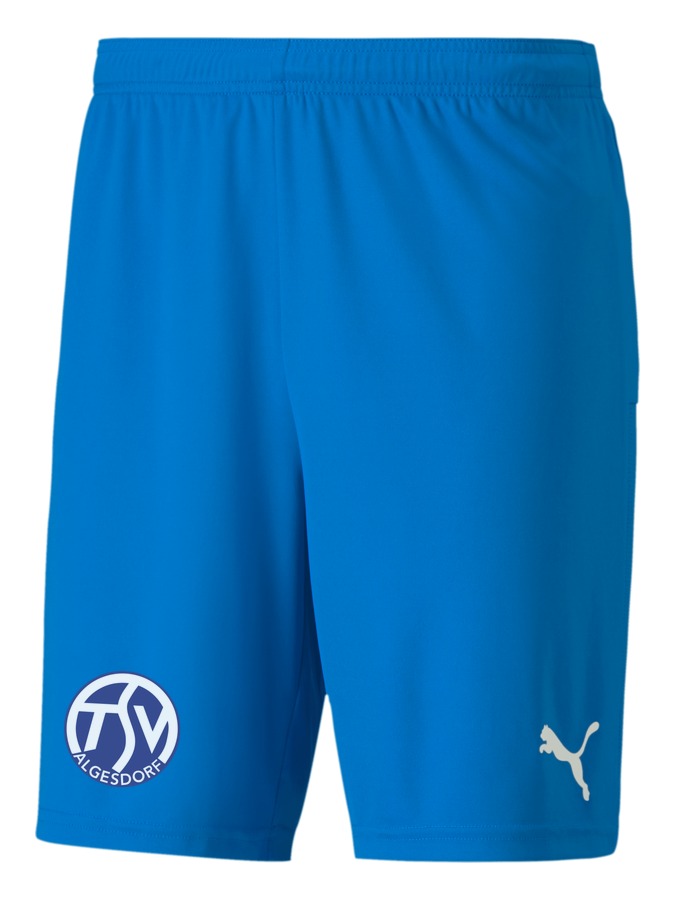 PUMA teamGOAL 23 Knit Shorts