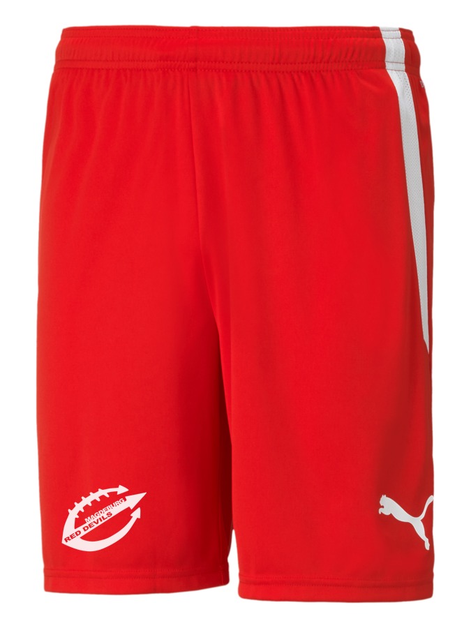PUMA teamLIGA Shorts
