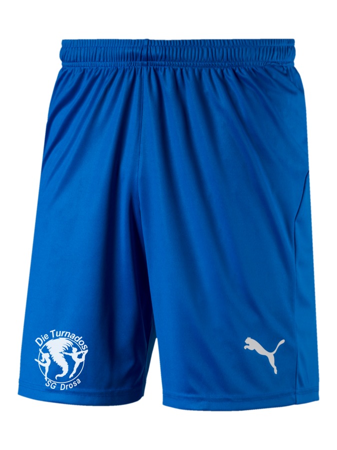 PUMA LIGA Shorts Core