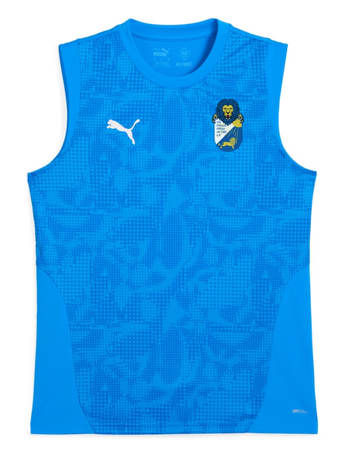 PUMA teamCUP Training Sleeveless Trikot
