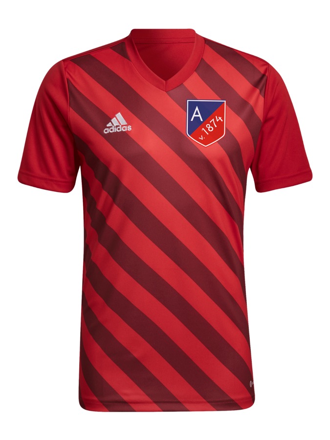 adidas Entrada 22 GFX Trikot
