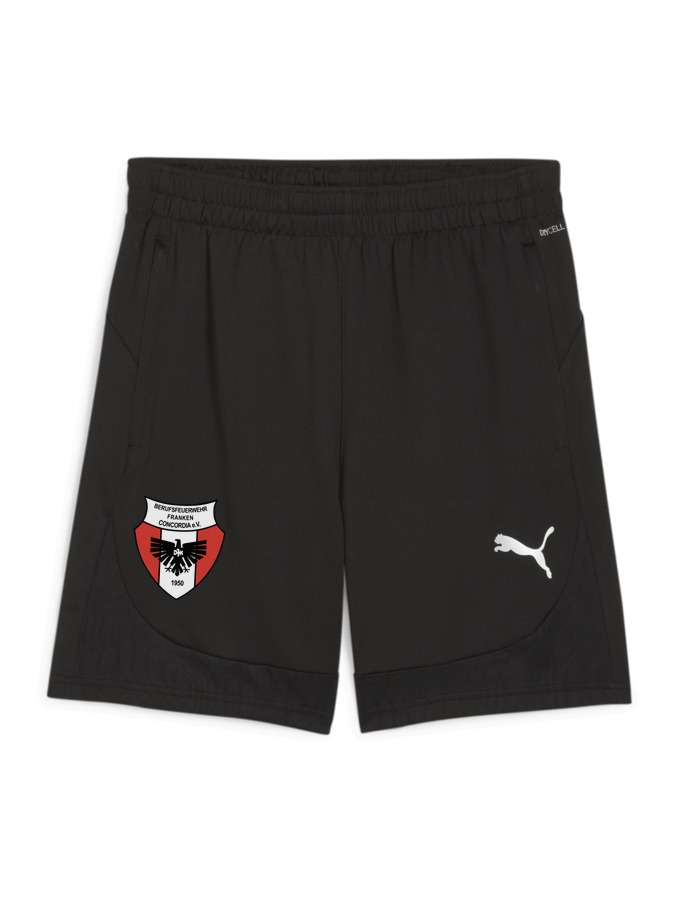 PUMA teamFINAL Training Shorts