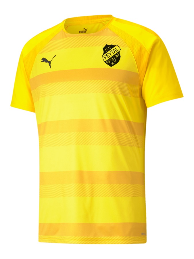 PUMA teamVISION Trikot