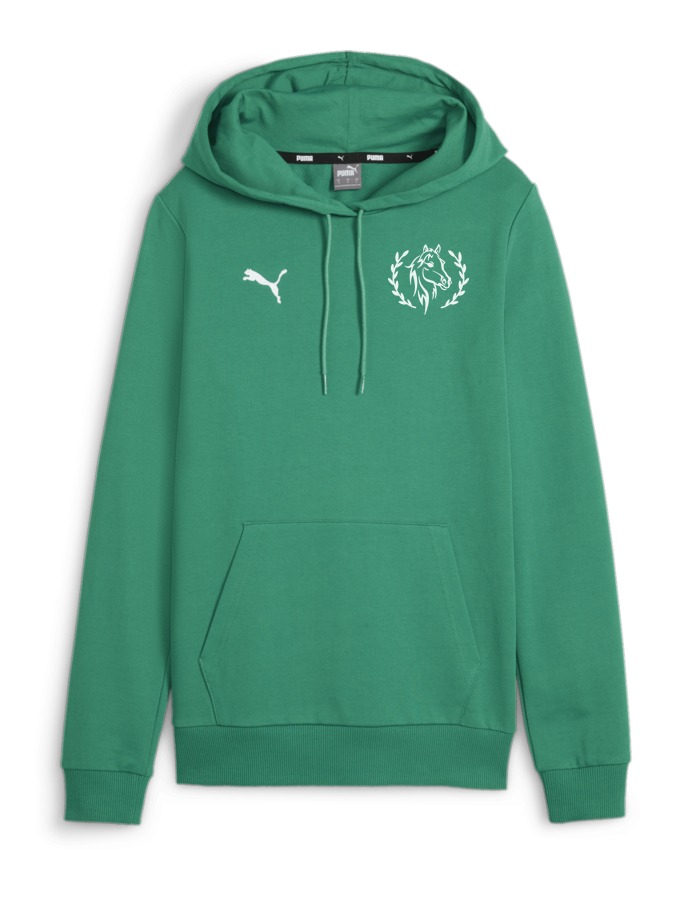 PUMA teamGOAL Casuals Hoody Damen