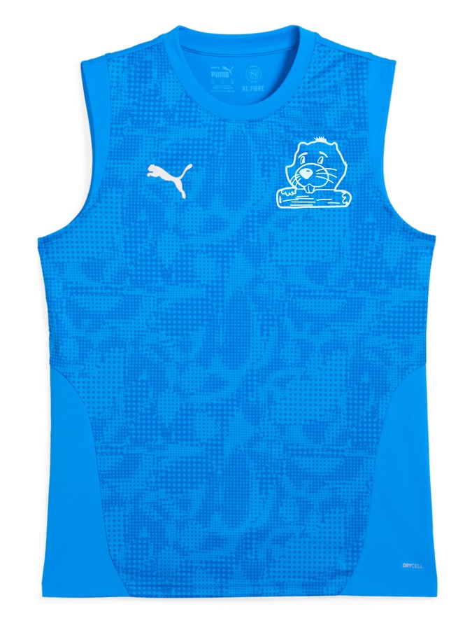 PUMA teamCUP Training Sleeveless Trikot