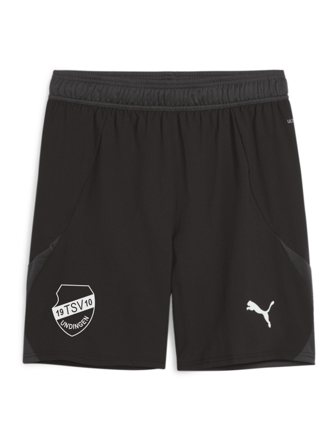 PUMA teamFINAL Shorts