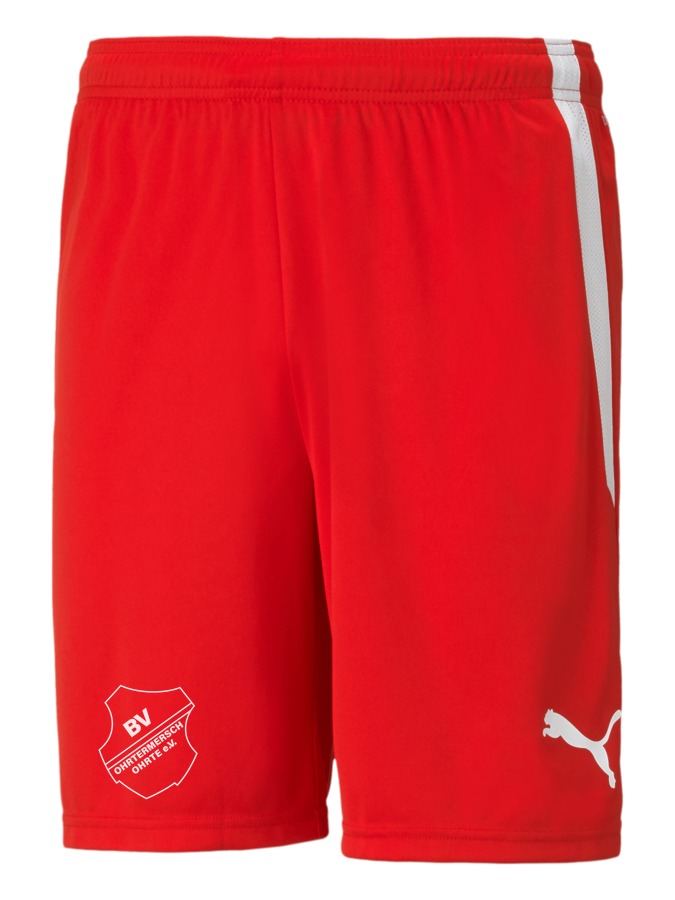 PUMA teamLIGA Shorts