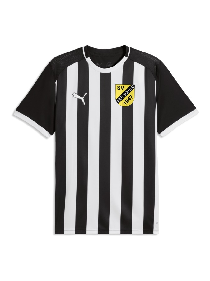 PUMA teamLIGA26 Striped Trikot