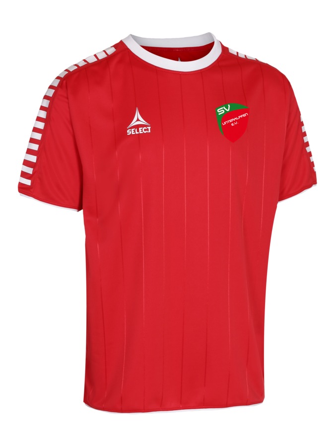 Select Argentina Trikot