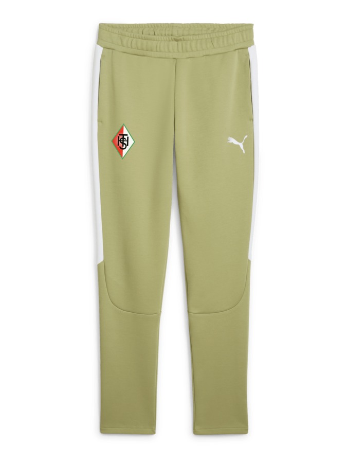 PUMA teamEVOSTRIPE Hose