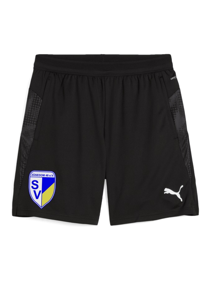 PUMA teamCUP Training Shorts