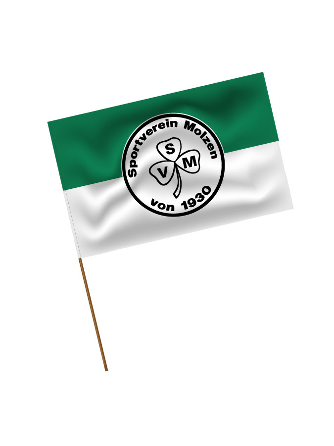 Stadionfahne Logo