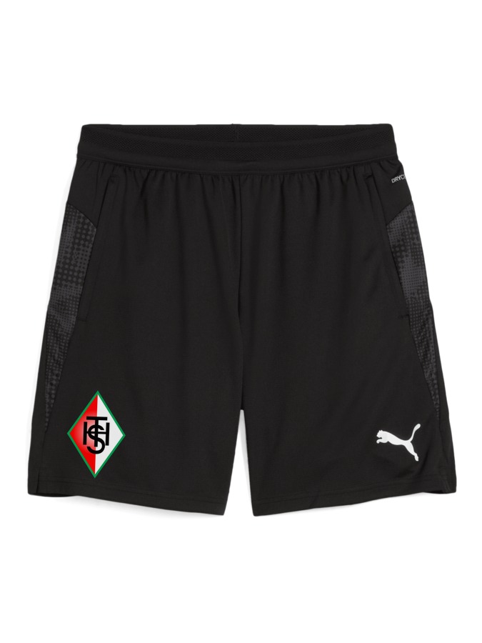 PUMA teamCUP Training Shorts