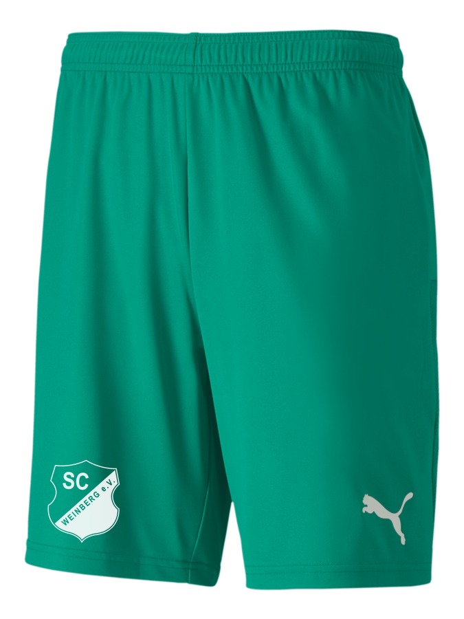 PUMA teamGOAL 23 Knit Shorts