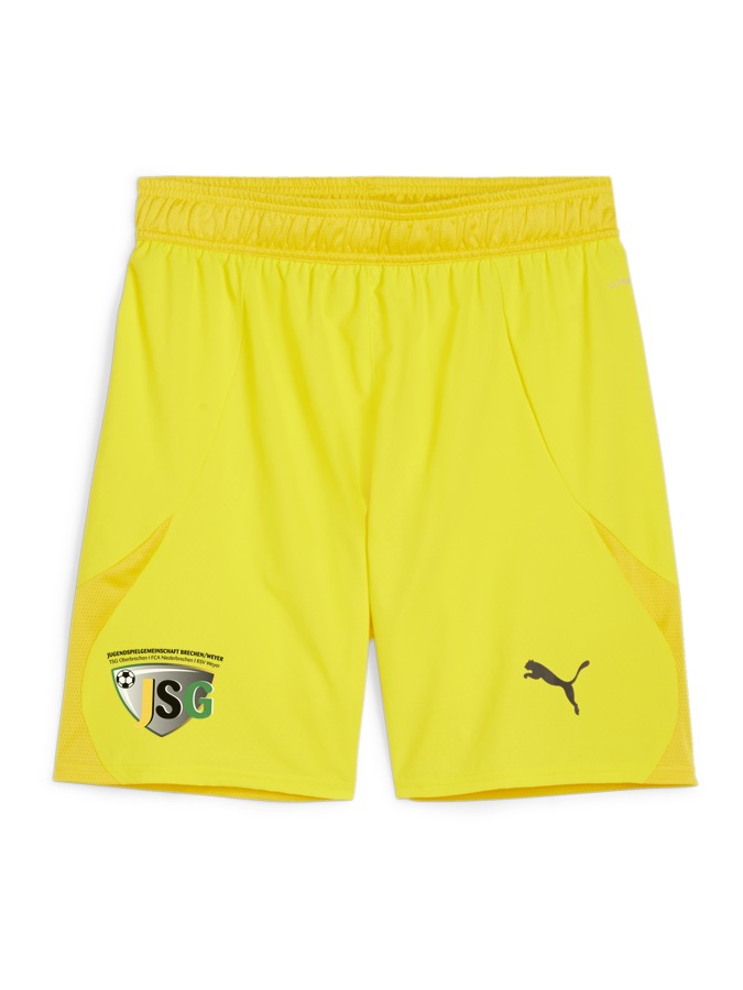 PUMA teamFINAL Shorts
