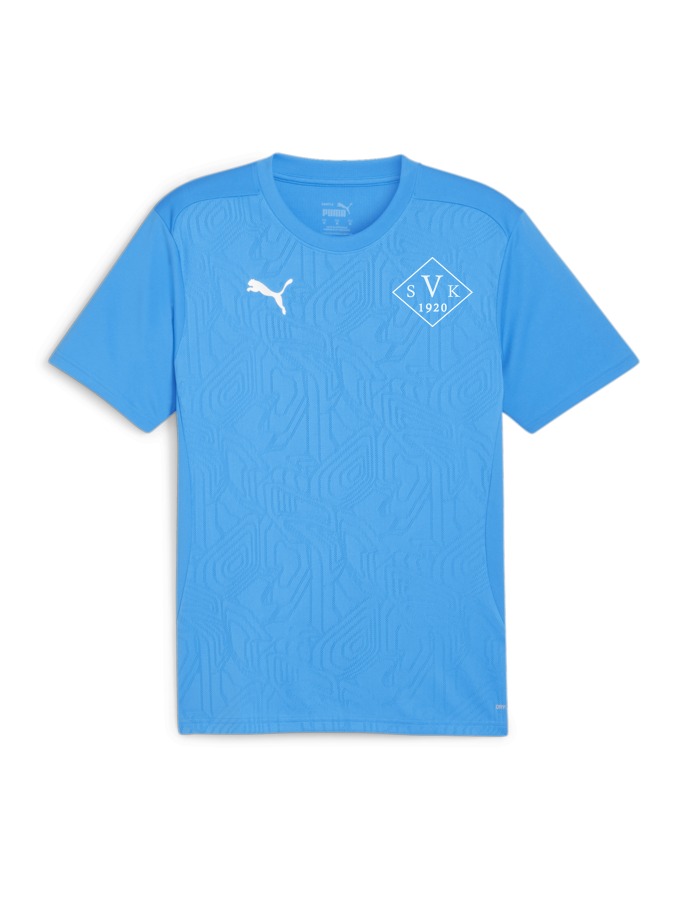 PUMA teamFINAL Trainingsshirt