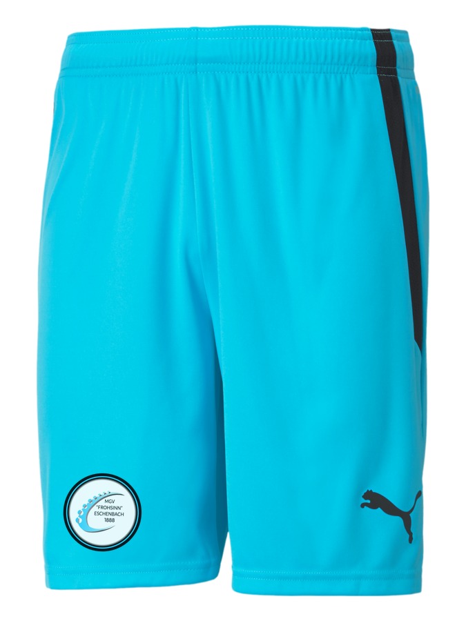 PUMA teamLIGA Shorts